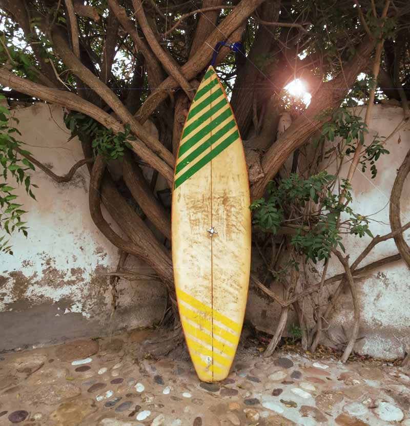 Douche extérieure contre un arbre en forme de planche de surf.