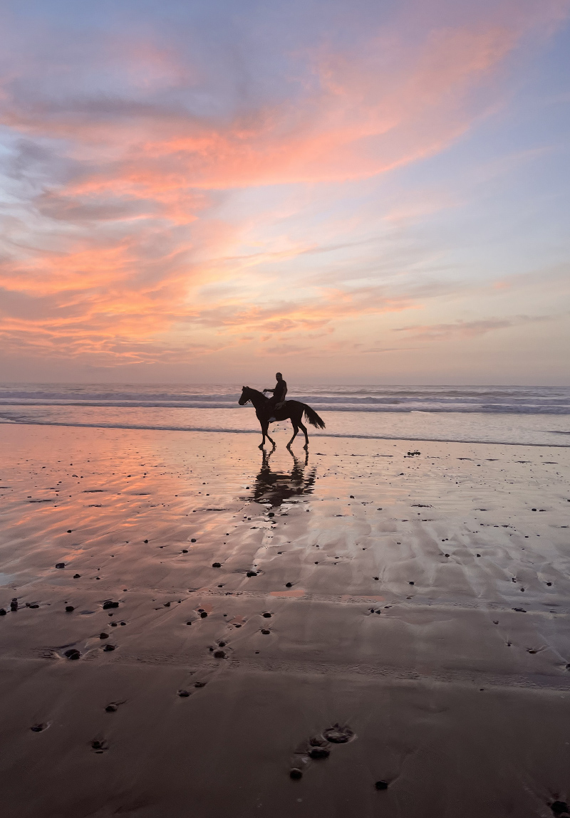 Balade à cheval sur la plage d'Essaouira au coucher du soleil.